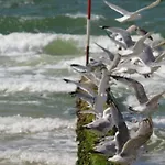 Feriehus Beachcomber - South Vesterland