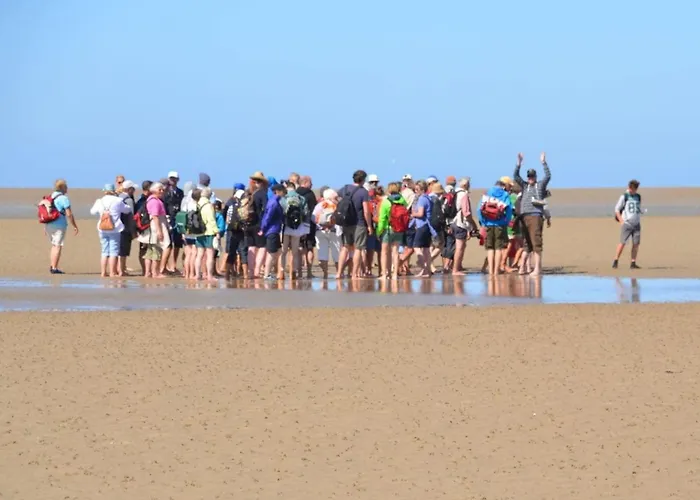 Beachcomber - South *