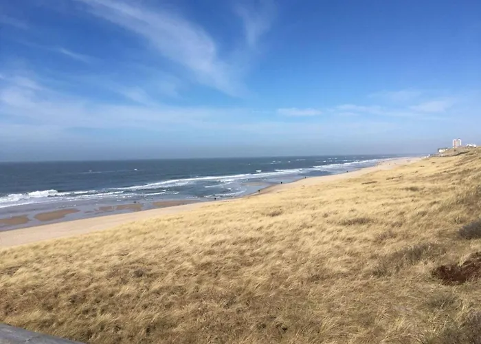 Beachcomber - South *